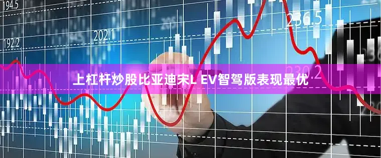 上杠杆炒股比亚迪宋L EV智驾版表现最优