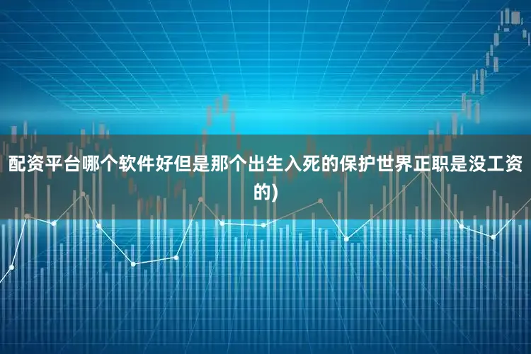 配资平台哪个软件好但是那个出生入死的保护世界正职是没工资的)