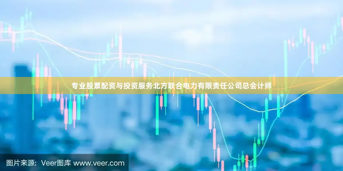 专业股票配资与投资服务北方联合电力有限责任公司总会计师