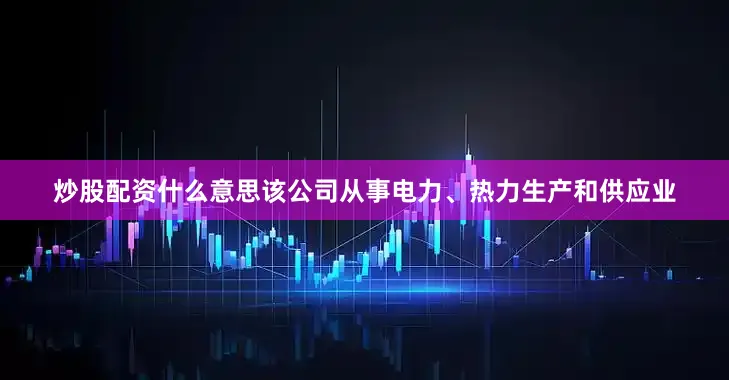 炒股配资什么意思该公司从事电力、热力生产和供应业