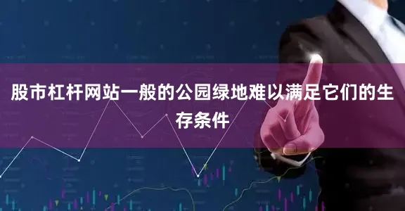 股市杠杆网站一般的公园绿地难以满足它们的生存条件